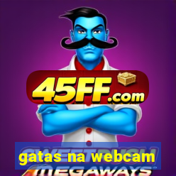 gatas na webcam